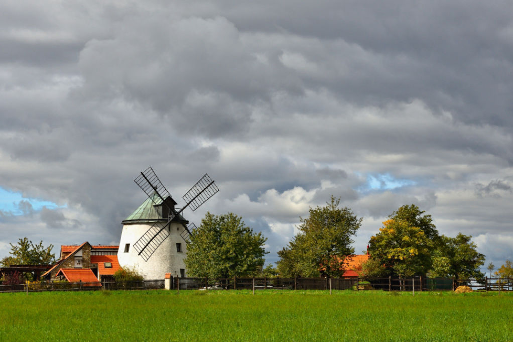 Windmill Rendering 